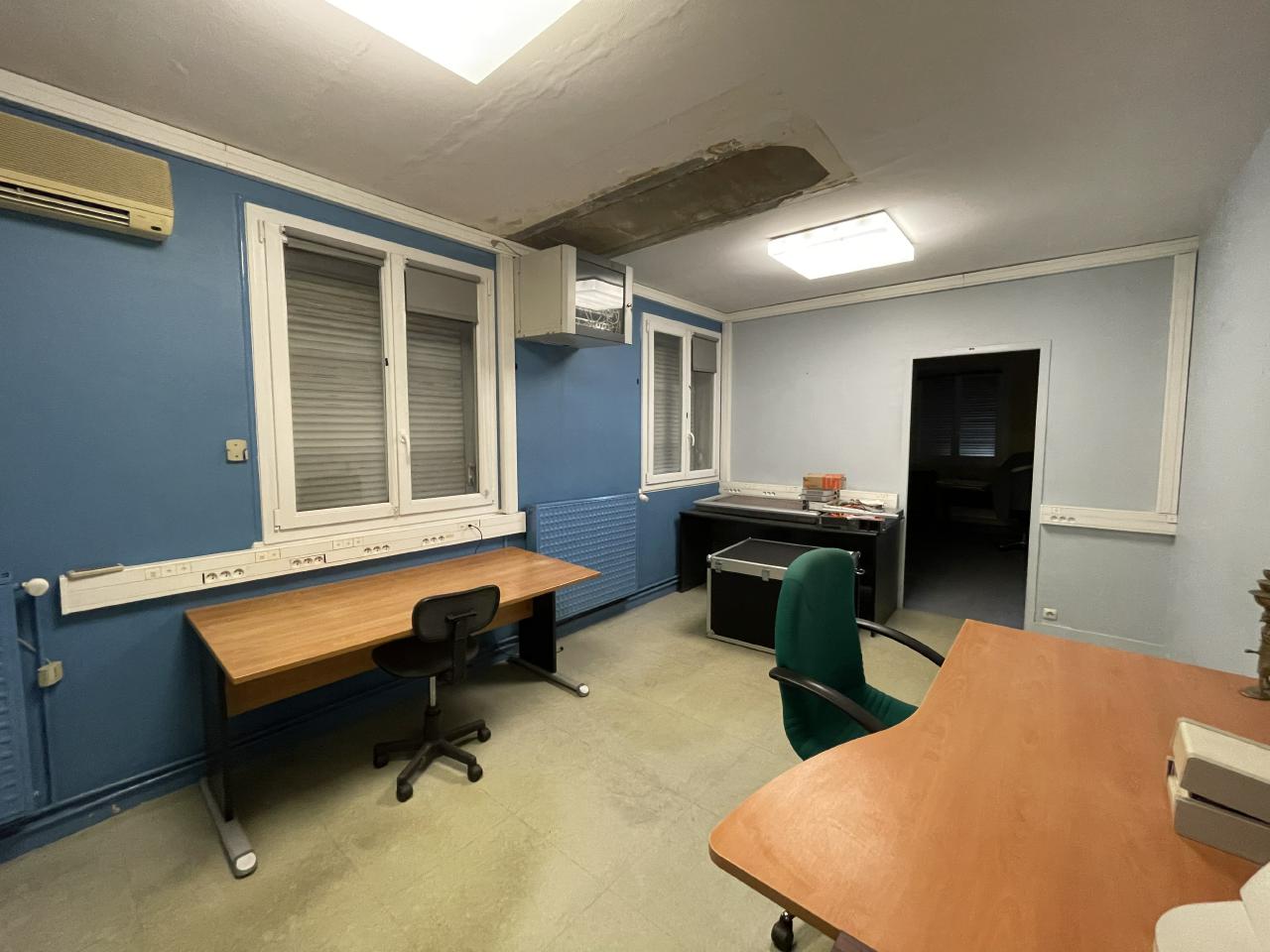 Local d'activité Montlouis-sur-Loire 3042m² Vente local d'activité Montlouis-sur-Loire Indre-et-Loire OVACT2203808 3